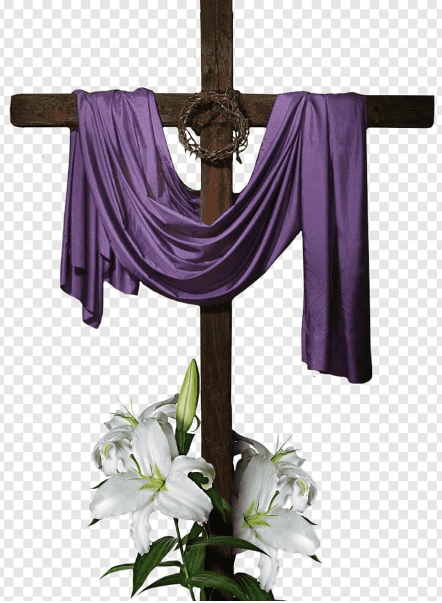 Étude de la Bible en groupe